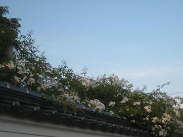 奈良 巻向 003.jpg